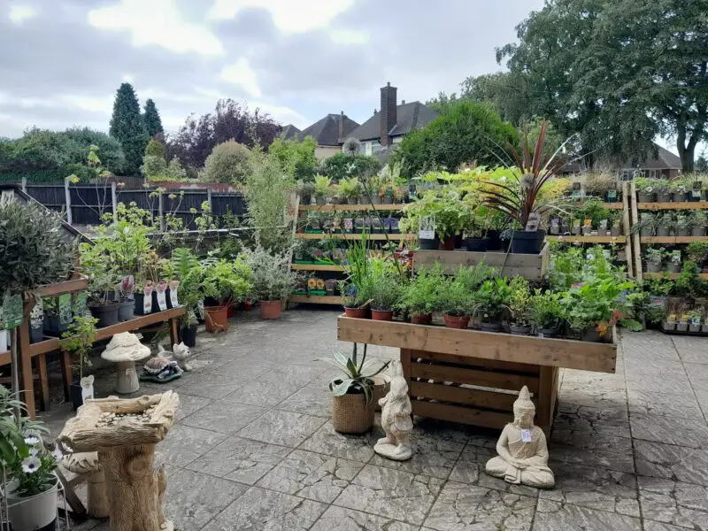 School Farm Shop